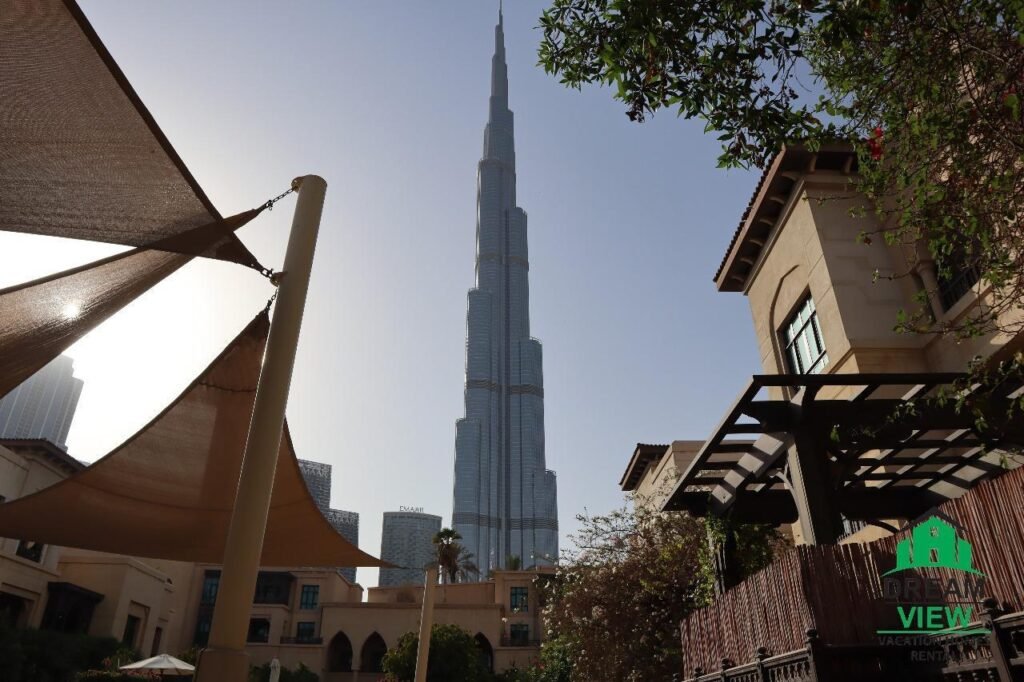 WhatsApp Image 2026-02-01 at 08.08.20